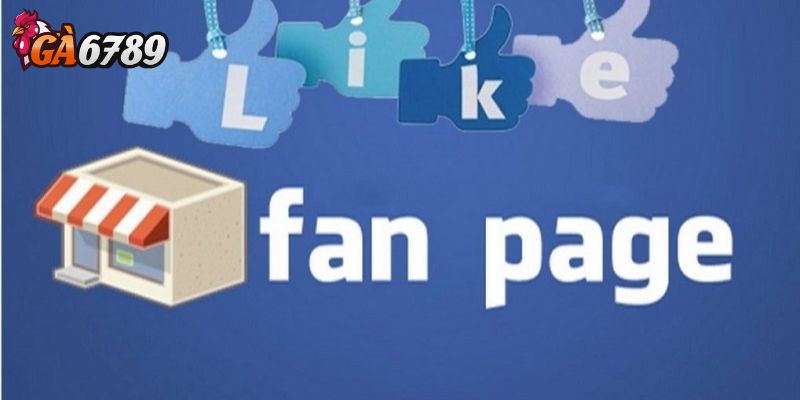 Bình luận, chia sẻ kinh nghiệm cược