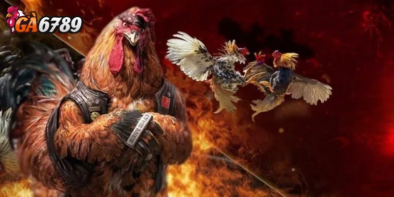 Chọn thời điểm vào cược thông minh