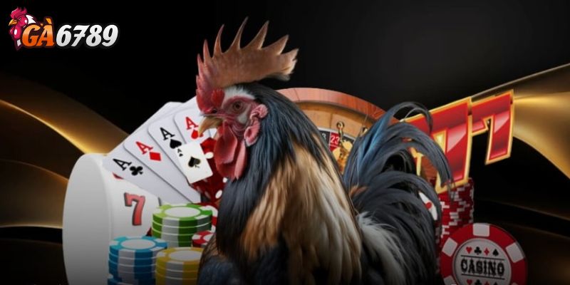 Đăng nhập và chuẩn bị tài khoản