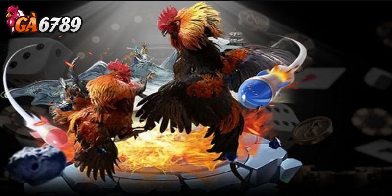 Đặt cược và theo dõi kết quả