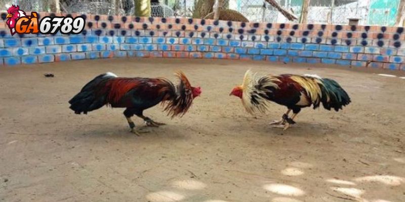 Đặt nhắc giờ cho trận đấu yêu thích