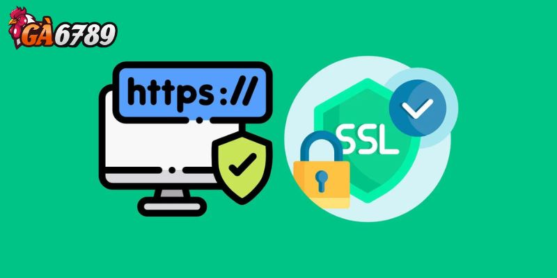 Dấu hiệu nhận biết website có SSL