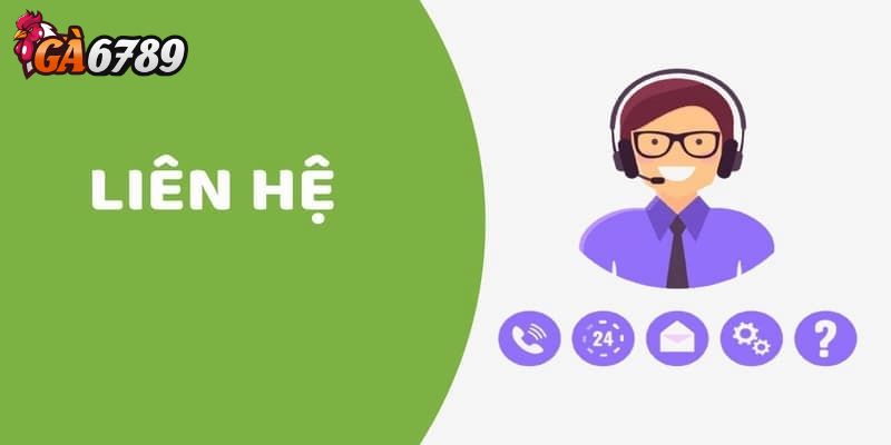 Email hỗ trợ và phản hồi chất lượng dịch vụ