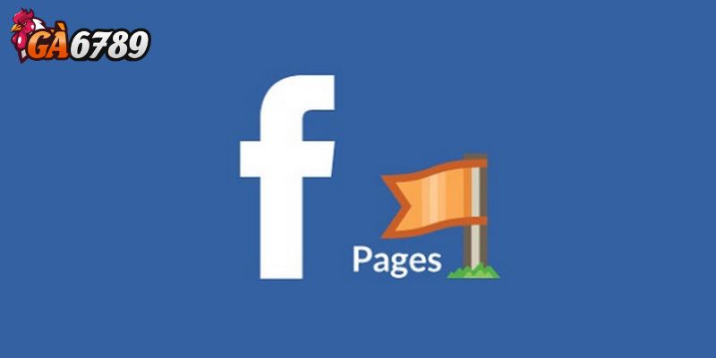 Giải đáp công khai các câu hỏi thường gặp