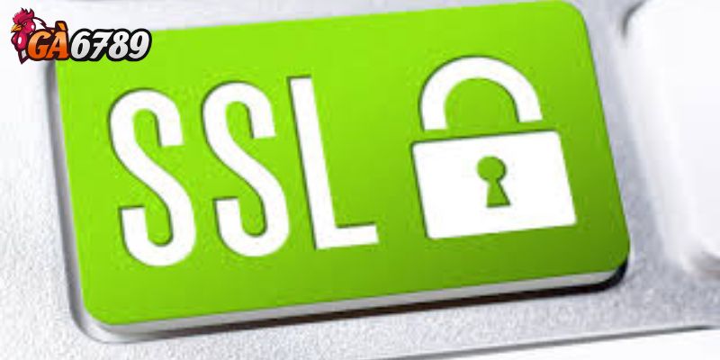 Giới thiệu công nghệ mã hóa SSL