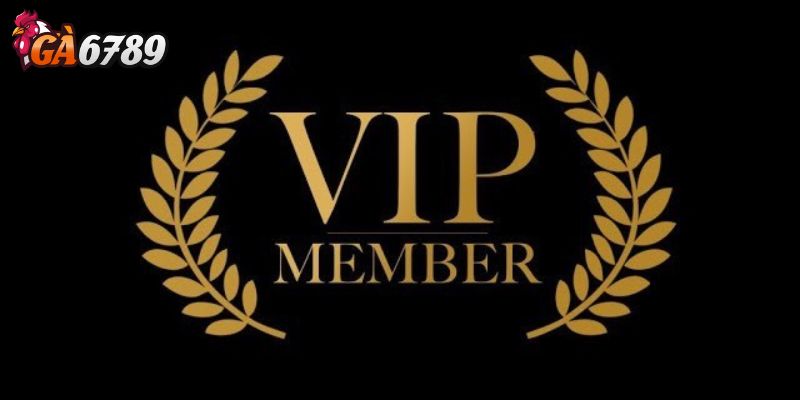 Hệ thống quà tặng VIP Ga6789 và các cấp độ ưu đãi