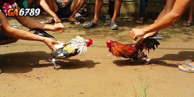 Không nên chỉ nhìn vào tỷ lệ cao