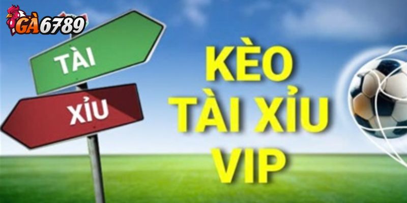 Không nên cược theo cảm tính