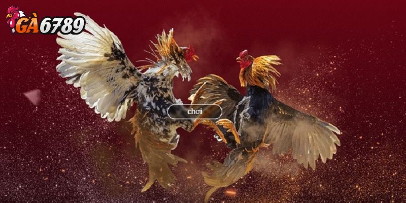 Không nên “gỡ lỗ” bằng mọi giá