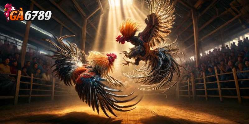 Kiểm tra giấy phép hoạt động