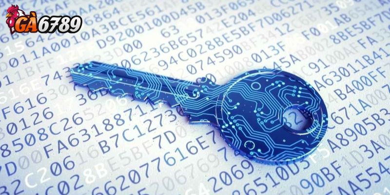 Lưu trữ dữ liệu bằng hệ thống mã hóa AES