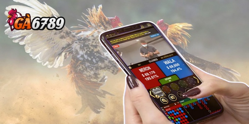 Quản lý tiền cược thông minh