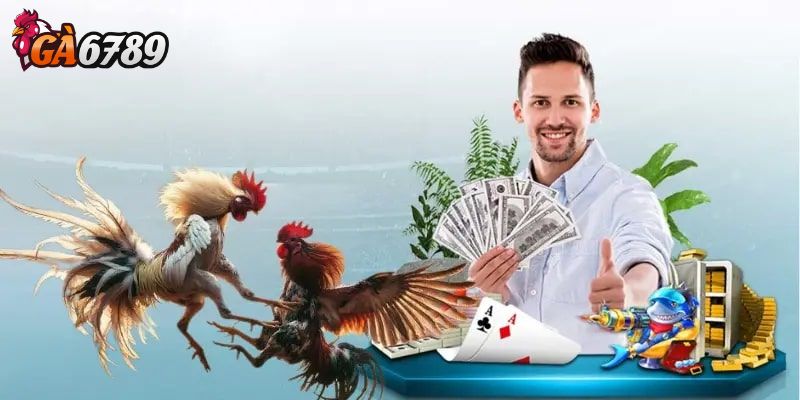 Tại sao nên sử dụng app chơi đá gà?