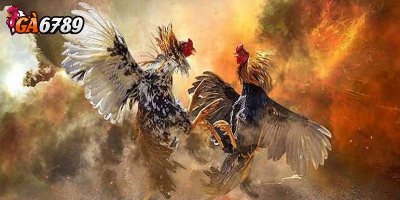 Tại sao nên tìm hiểu kỹ tỷ lệ cược?