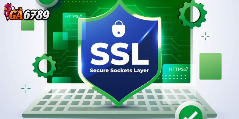 Tăng độ uy tín và chuyên nghiệp cho nền tảng