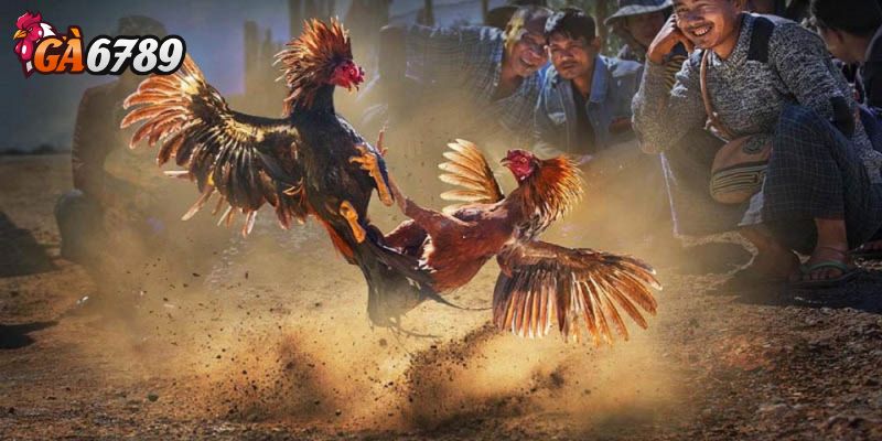 Theo dõi vào khung giờ cao điểm