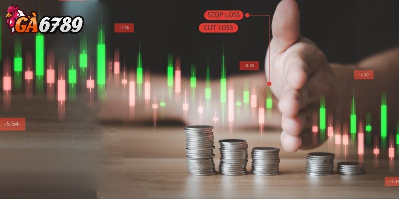 Thiếu kiến thức về loại kèo đang chơi