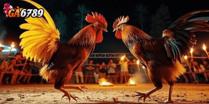 Tránh các đường link giả mạo