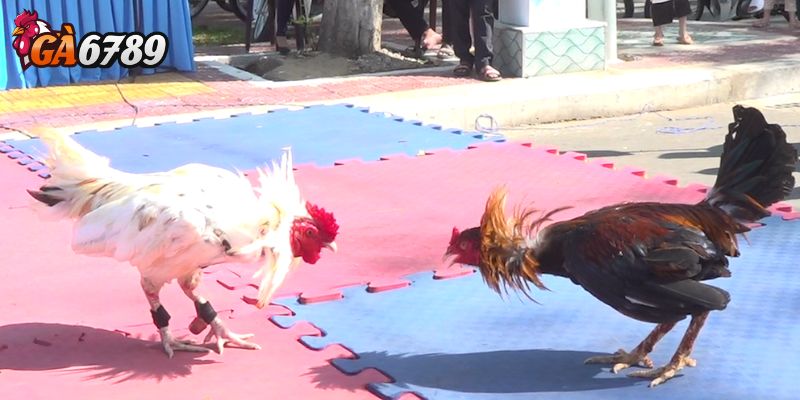 Ưu tiên xem trên thiết bị có màn hình lớn